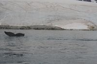 
DSC00068
